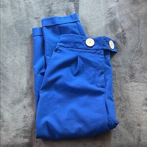 Zara Royal Blue trousers